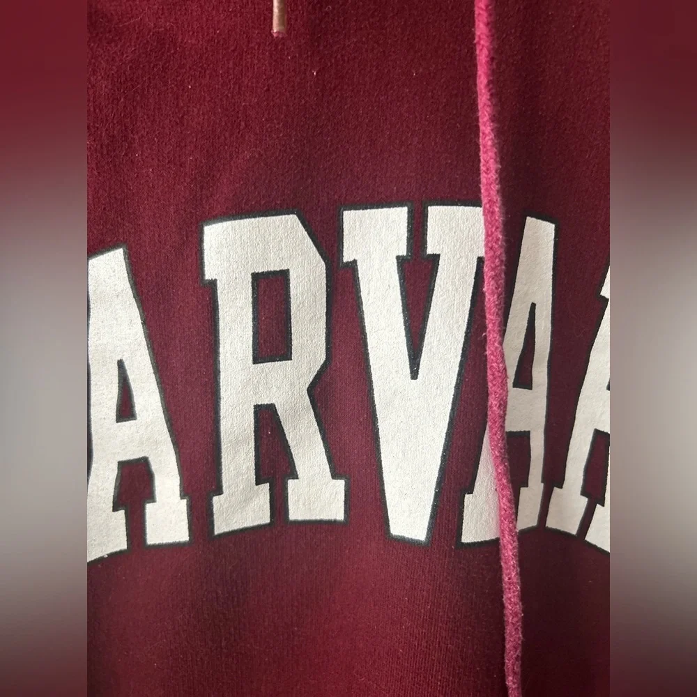 Thick and oversized Harvard printed hoodie - Picture 3 of 12